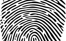 CC-BY-SA 3.0 via wikimedia