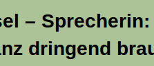 Screenshot derstandard.at