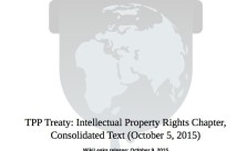 TPP-IP-chapter-cover