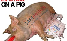 "They put ten layers of lipstick on a pig" - Max Schrems via Twitter