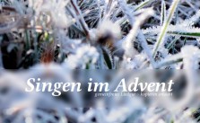 Coverbild Singen im Advent