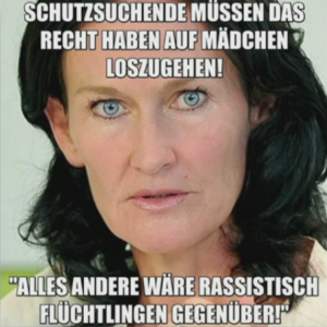 27 Anzeigen stelle die österreichische Fraktion der Grünen, nachdem dieses Bild im Internet kursierte - allesamt mit Erfolg. Quelle: Video