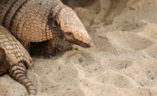 Foto: Thomas Helbig [CC-BY-NC 2.0]