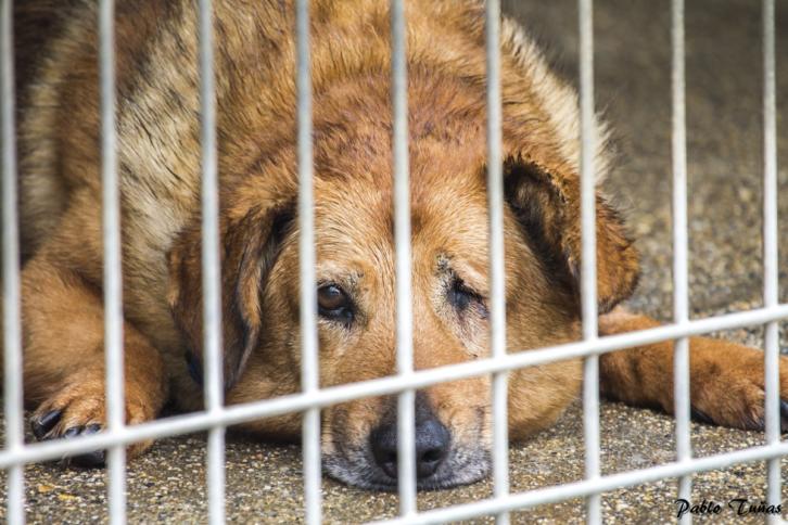 Diese Woche war weniger erfreulich was den Datenschutz anging