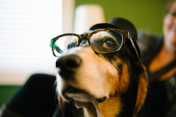 Die Bundesregierung darf einer Befragung Snowdens vor dem Untersuchungsausschuss nicht mehr im Weg stehen.
