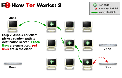 Tor browser server форум как выращивать коноплю