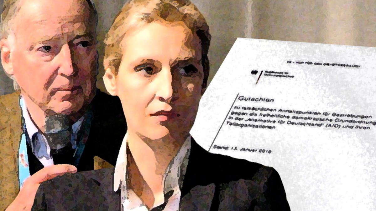 Prüffall: Wir veröffentlichen das Verfassungsschutz-Gutachten zur AfD –