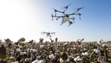 Eine Drohne fliegt über ein Baumwollfeld