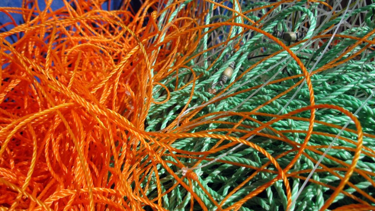 Netze umspannen unsere Welt