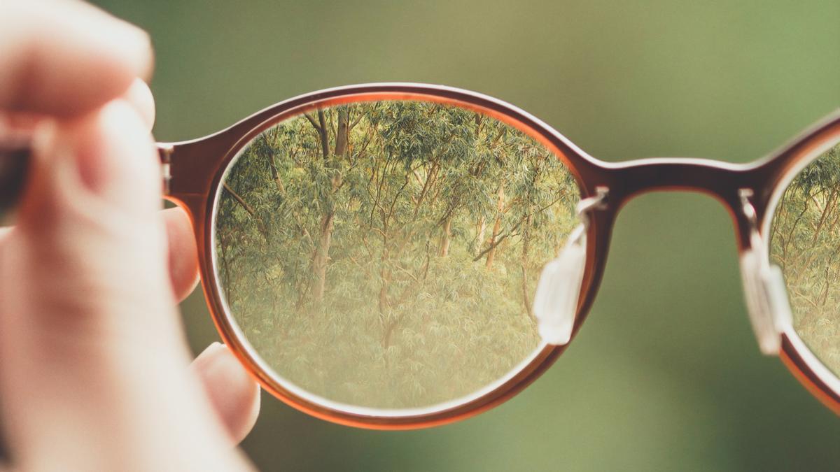 Hände halten Brillen, in denen sich Wald spiegelt