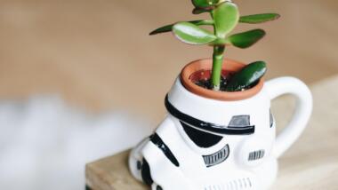 Eine Pflanze in einem Stormtrooper-Blumentopf