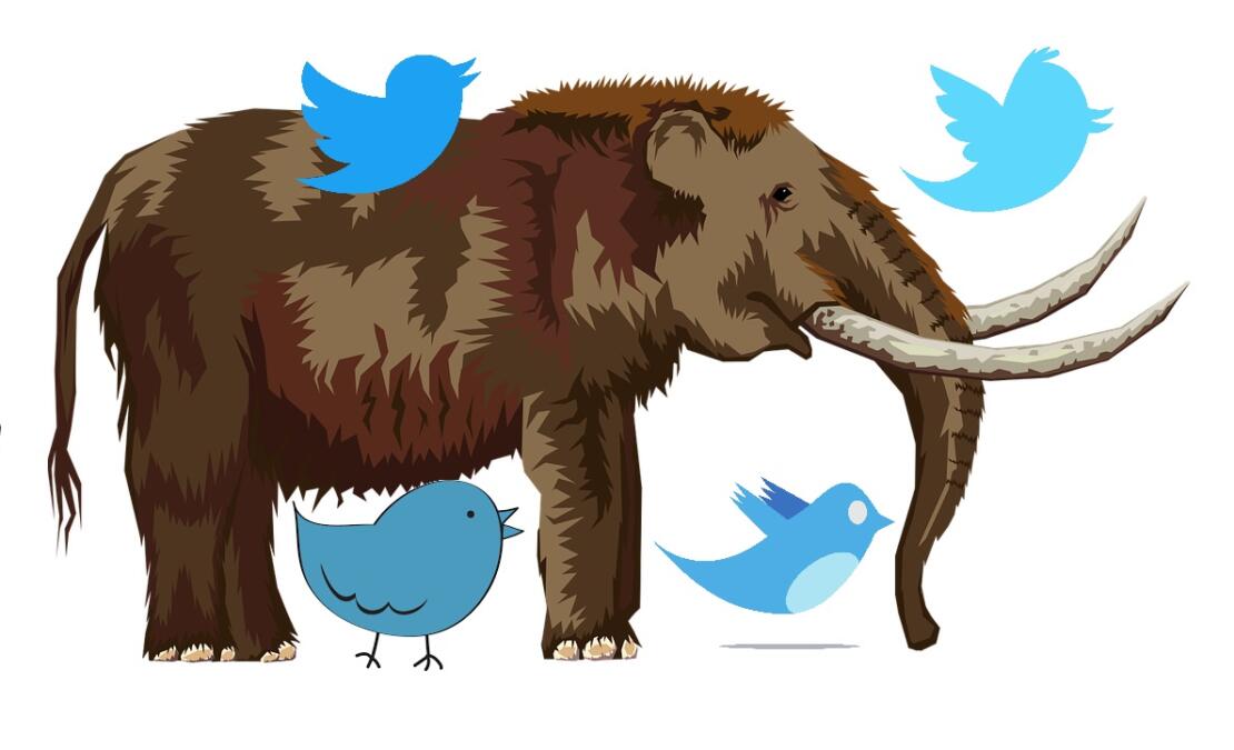 Mastodon mit Twitter-Vögeln