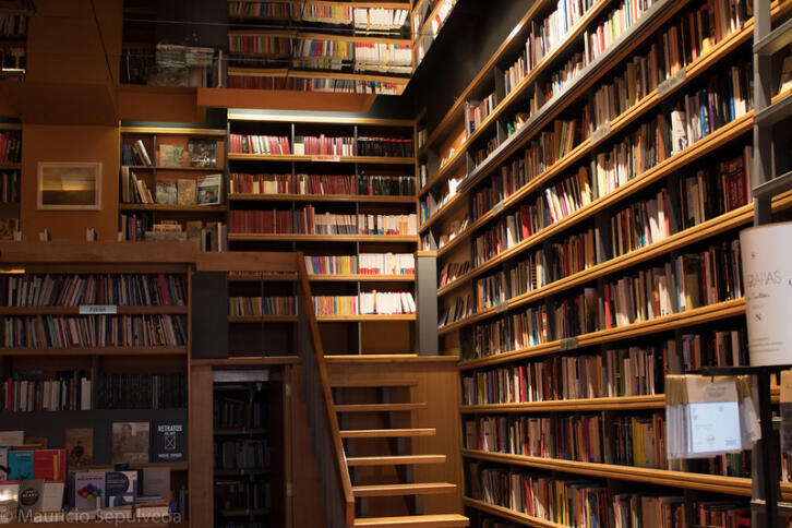 Es sind volle Bücherregale zu sehen.