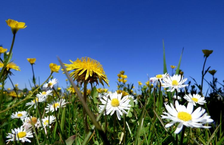 Die digitale Zivilgesellschaft fördern!