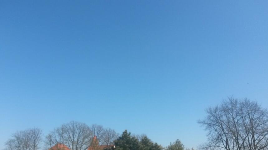 Blauer Himmel mit ein paar Baumspitzen.