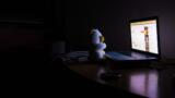 Teddy sitzt im Dunkeln vor Laptop