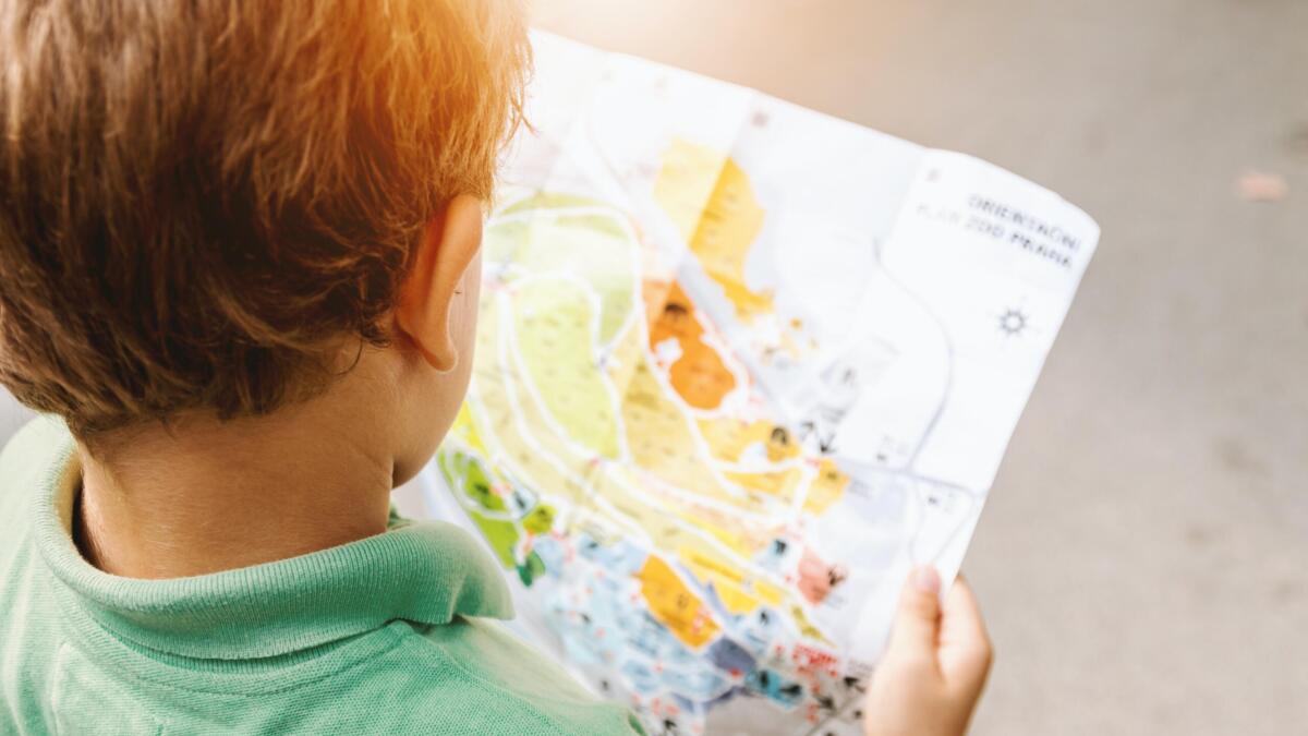 Man sieht den Hinterkopf eines Jungen, der eine unscharfe Landkarte in der Hand hält und darauf schaut.