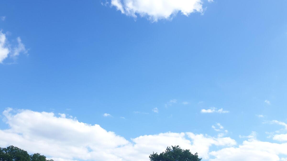 Viel blauer Himmel mit wenigen Wolken und Baumspitzenspitzen an der unteren Bildkante.