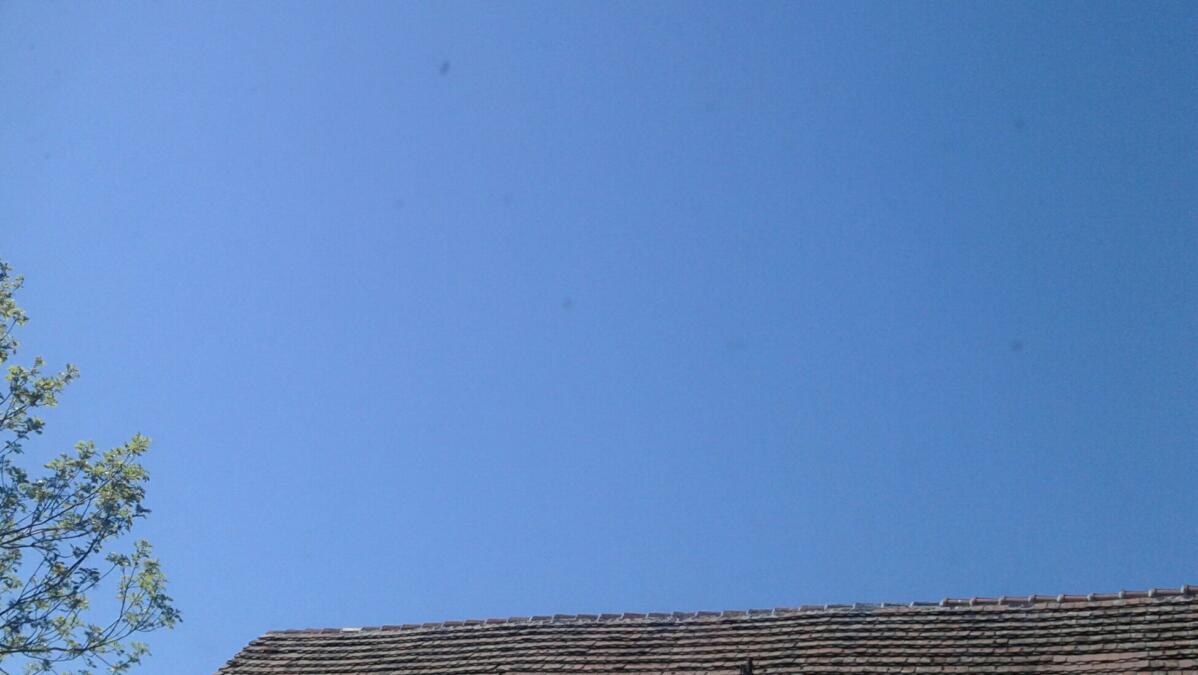 Baum, Dach und Himmel