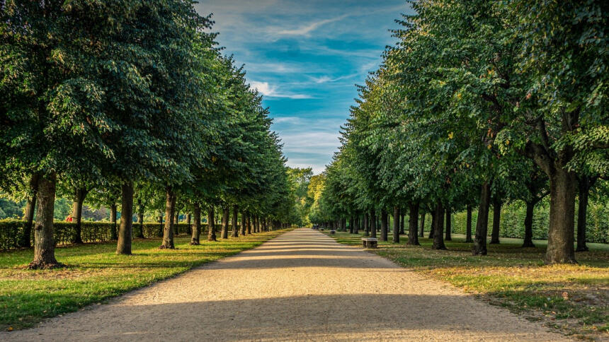 Berliner Schlosspark