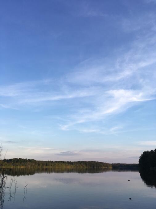 Ein See in Brandenburg