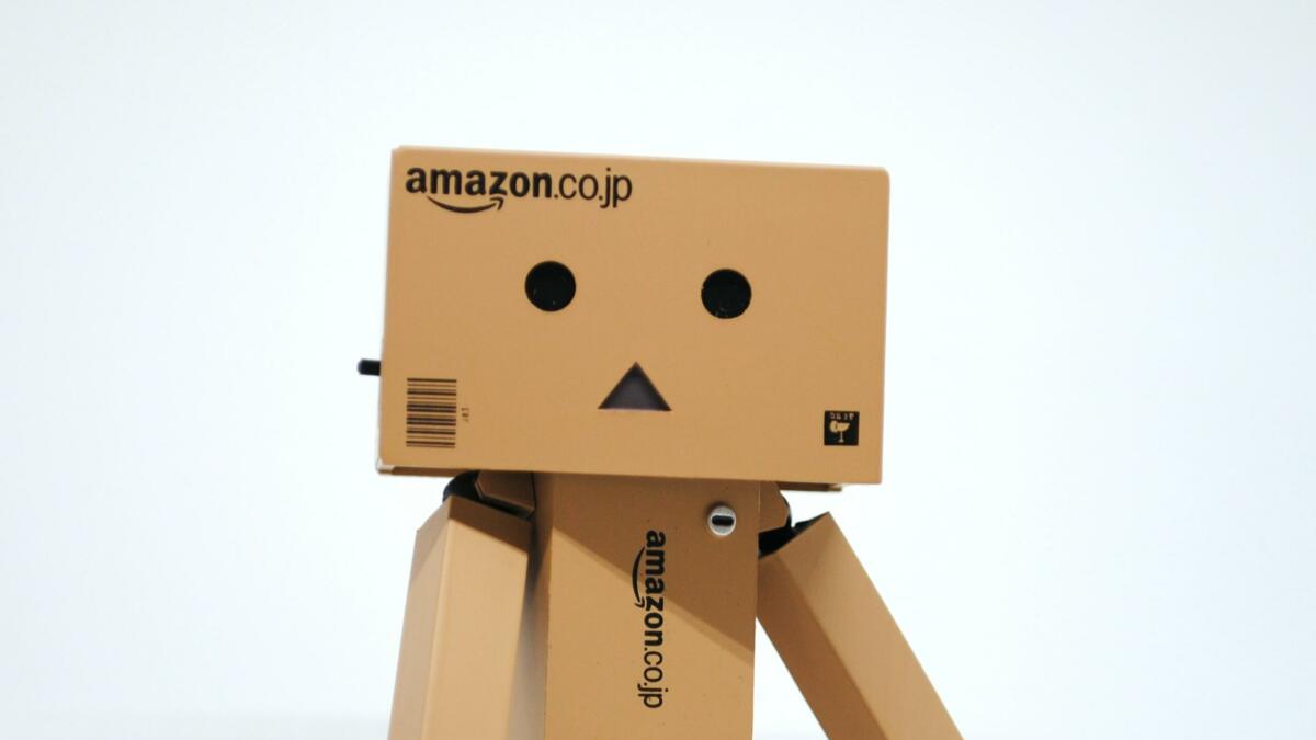 Männchen aus Amazon-Kartons