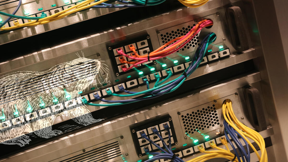 Ein Murmeltier am Serverschrank