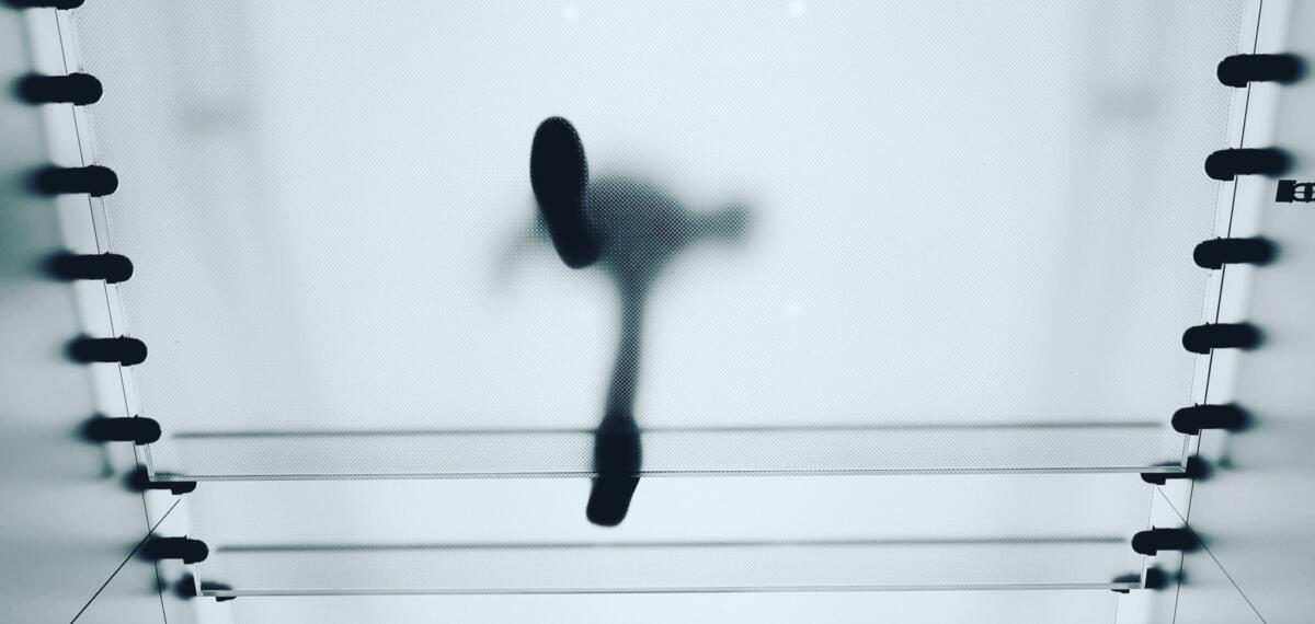 Informationsfreiheit in Österreich