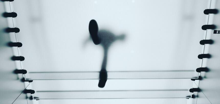 Informationsfreiheit in Österreich