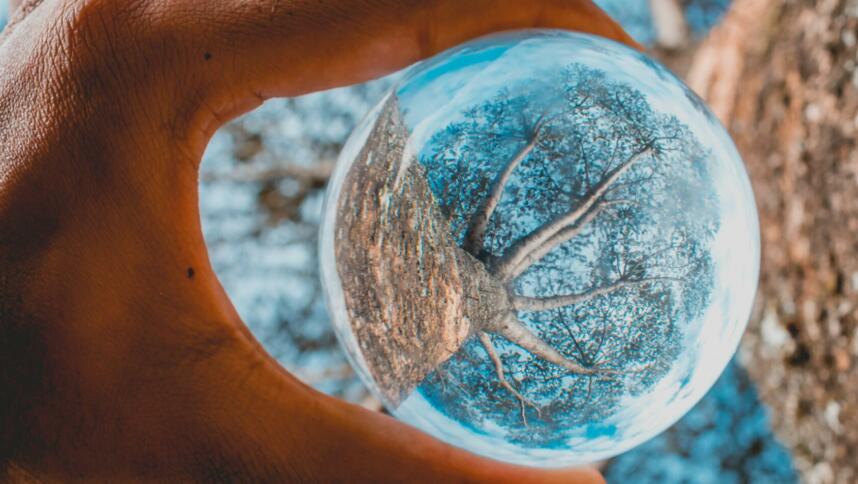 Ein Baum durch eine Glaskugel betrachtet, die in einer Hand gehalten wird.