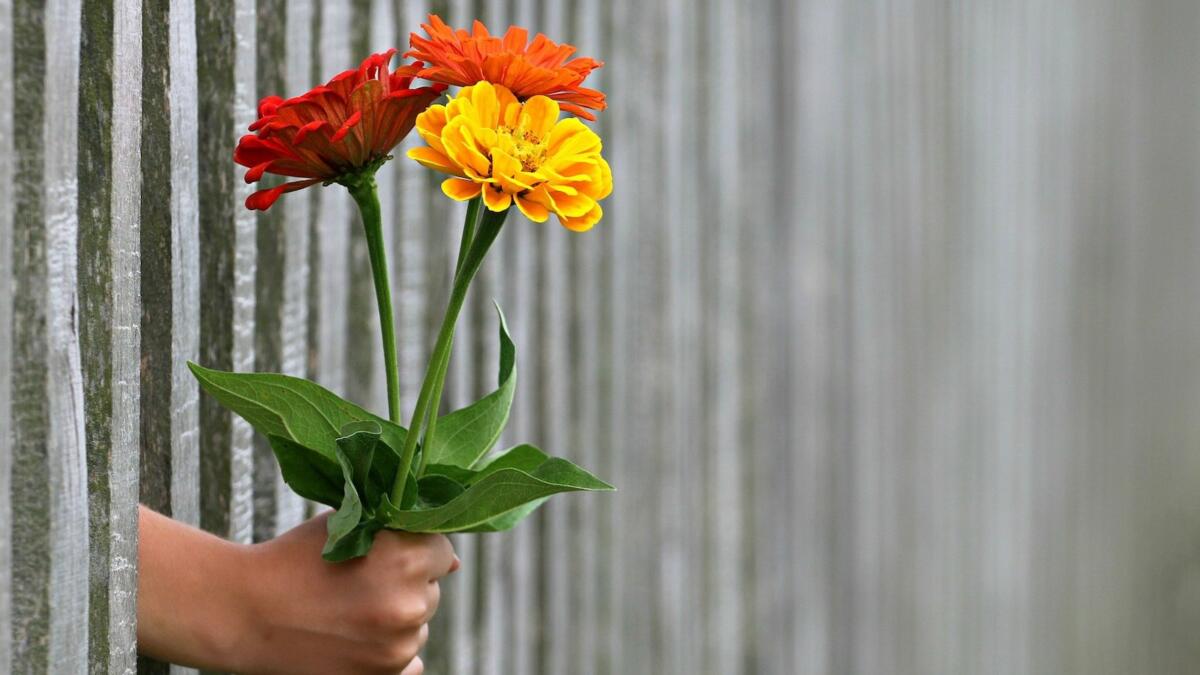 Eine Hand reicht einen kleinen Blumenstrauß durch die Latten eines Zauns.