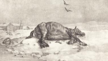 Totes Pferd in Lithografie von 1823