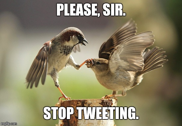 Please, Sir. Stop Tweeting. Ein Vogel wie er einem anderen den Schnabel zu hällt