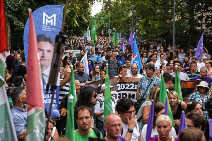 Menschen halten Fahnen auf einer Demonstration