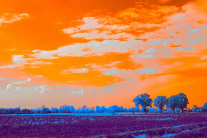 Lanschaft, Himmel in Orange, Bäume in Blau und Lila