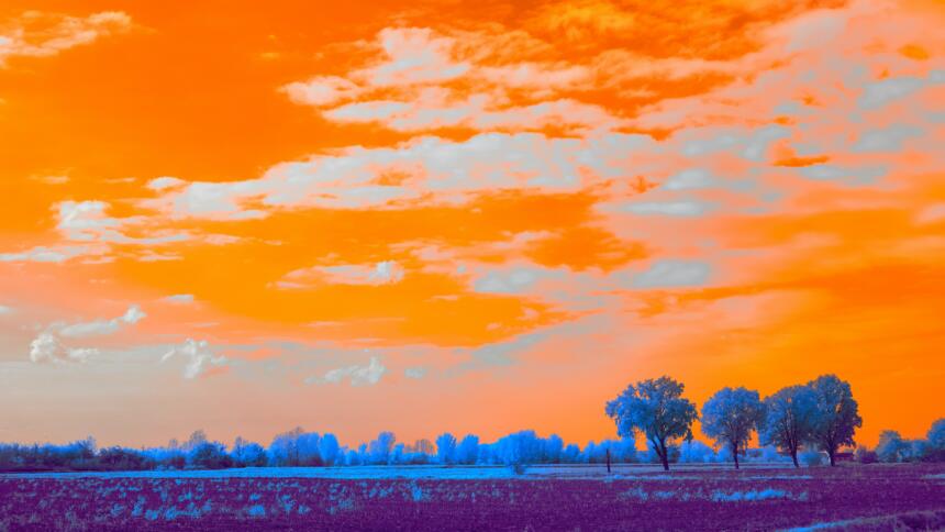 Lanschaft, Himmel in Orange, Bäume in Blau und Lila