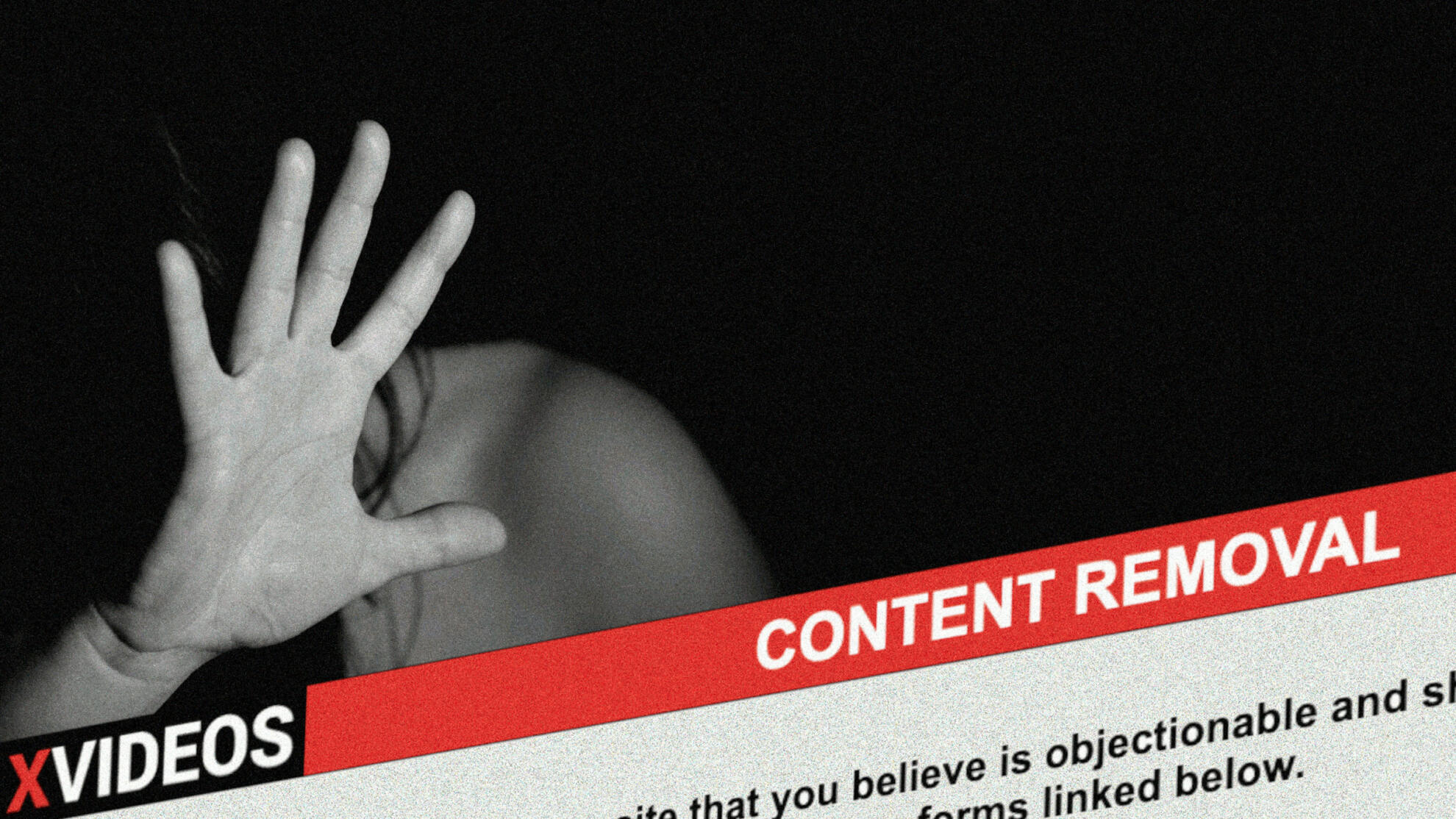 World s Largest Porn Site How XVideos Does Very Little Against 