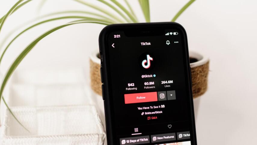 Ein Handy ist an eine Zimmerpflanze angelehnt. Auf dem Handydisplay ist die App TikTok geöffnet und das Profil der offiziellen TikTok-Seite. Der Hintergrund ist weiß.