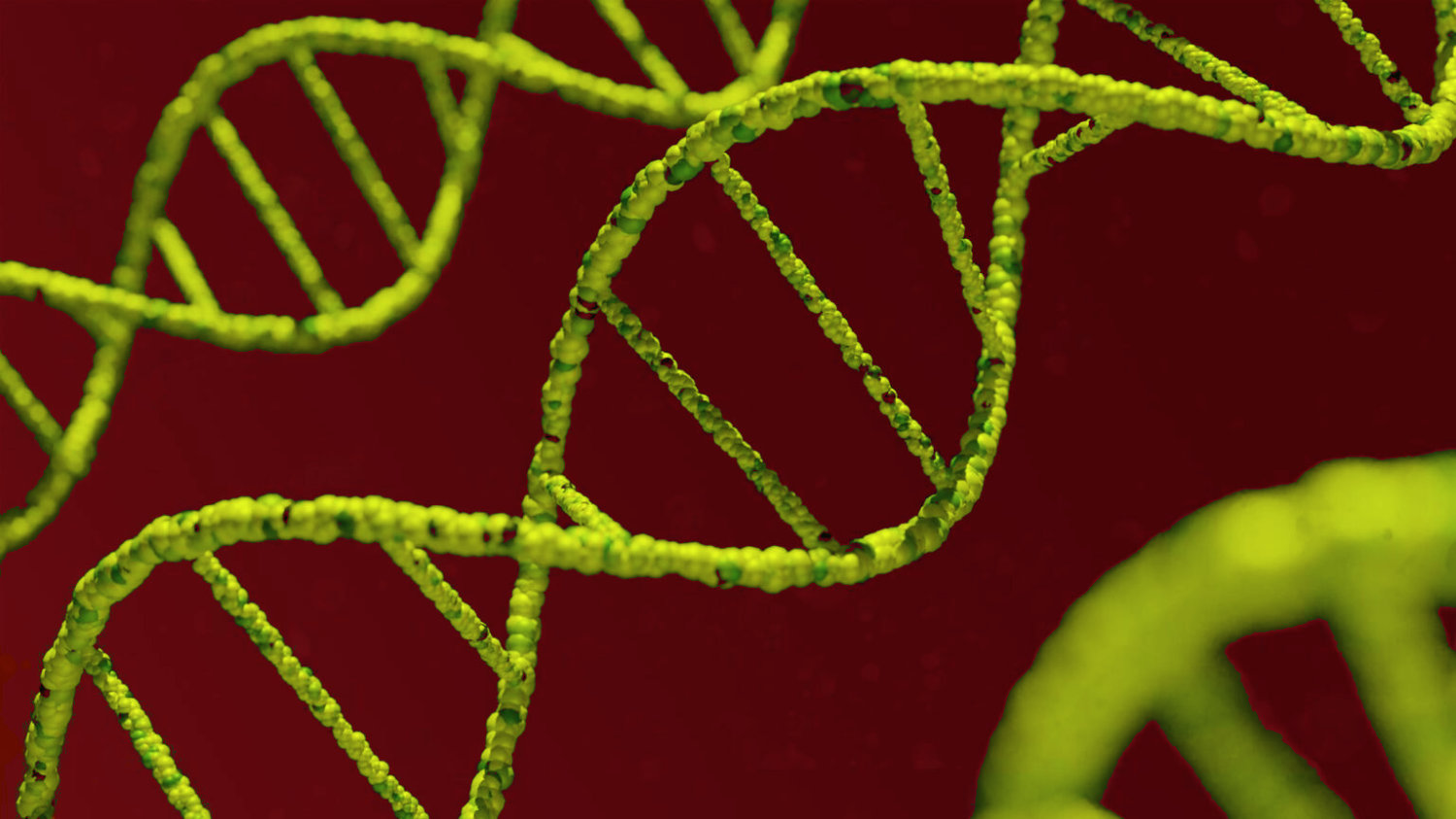 Überwachung: China sammelt massenhaft DNA in Tibet