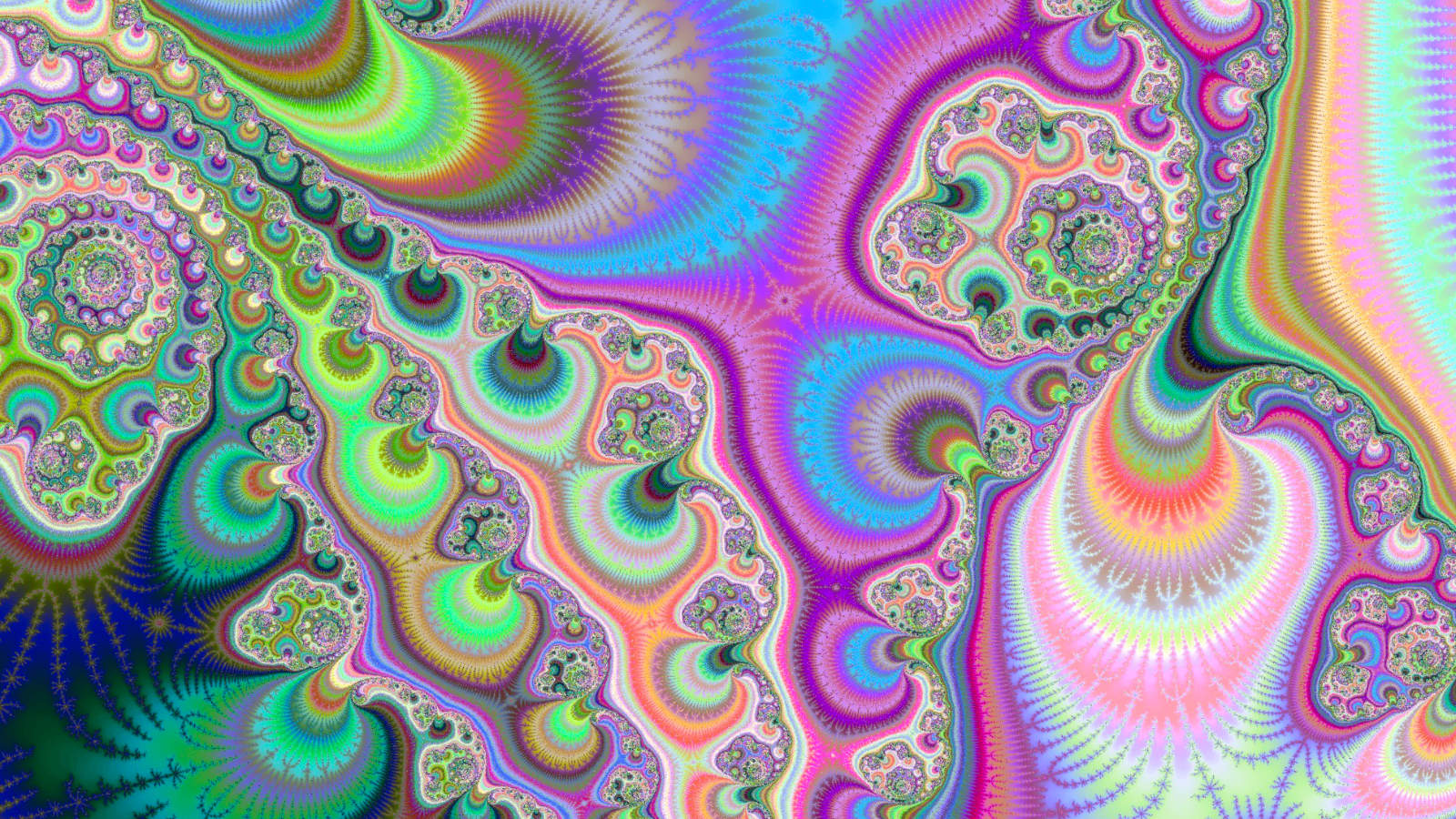 KW 42: Die Woche, in der wir eine Tarnfirma enttarnten