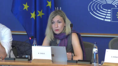 Eine Frau spricht auf einem Panel, im Hintergrund die Flagge der Europäischen Union.