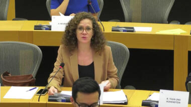 Die Berichterstatterin des Auschusses, Sophie in 't Veld, trägt den Abgeordneten ihr Fazit vor.
