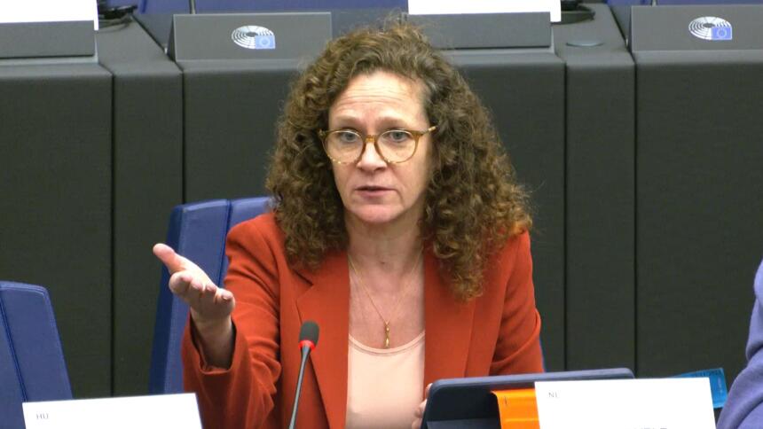 Die Berichterstatterin des Ausschusses, Sophie in ’t Veld, spricht zu den geladenen Expert:innen.