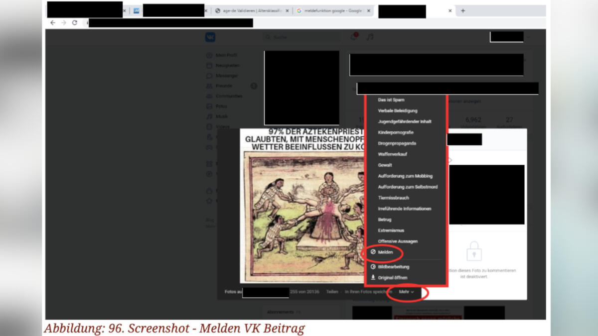 Screenshot aus dem KIVI-Benutzerhandbuch. Ein Beitrag wird bei vKontakte gemeldet.