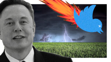 Elon Musk, während der Twitter-Vogel mit einem Feuerschweif vom Himmel fällt