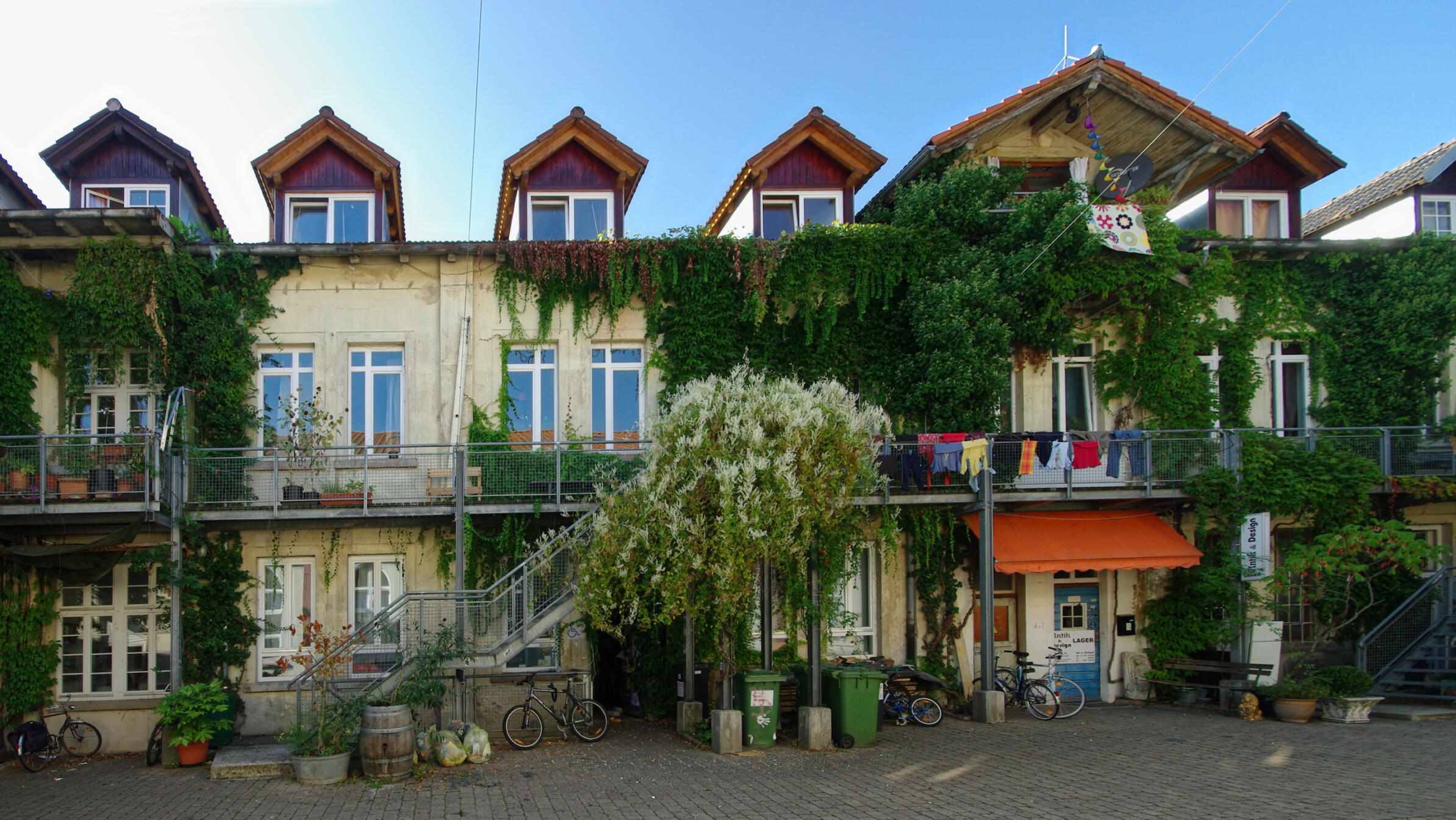 Hausfront mit viel Pflanzenbewuchs