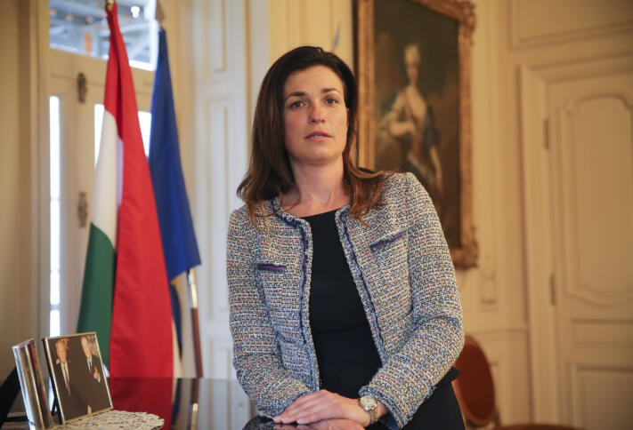 Eine Frau mit langen braunen Haaren und grauem Blazer, links hinter ihr eine Ungarnflagge und ein Gemälde