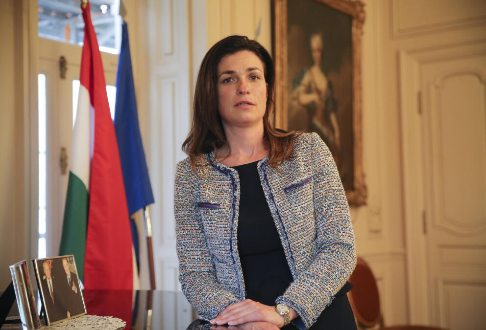 Eine Frau mit langen braunen Haaren und grauem Blazer, links hinter ihr eine Ungarnflagge und ein Gemälde