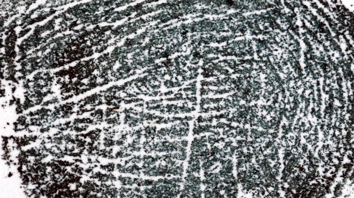 Fingerabdruck schwarz/weiß