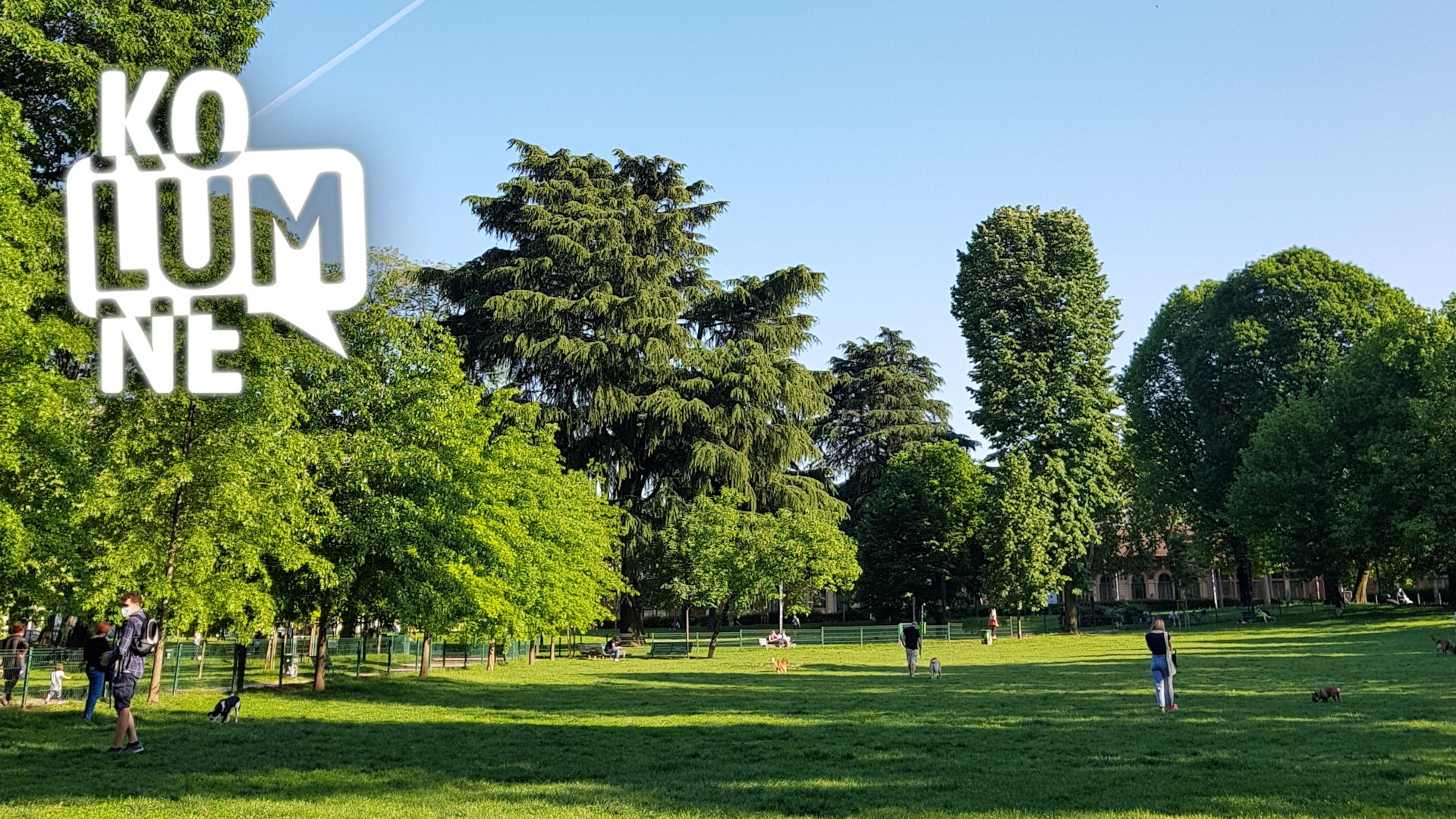 Eine Wiese in einem Park